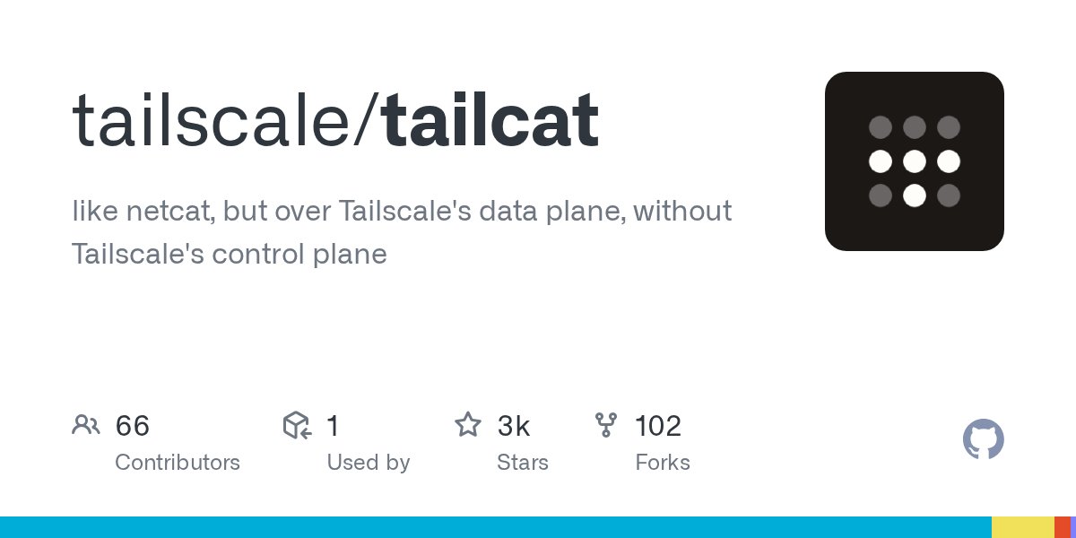 tailscale/tailcat 开源：netcat 体验跑在 WireGuard 数据平面上，不建网络直接连 封面