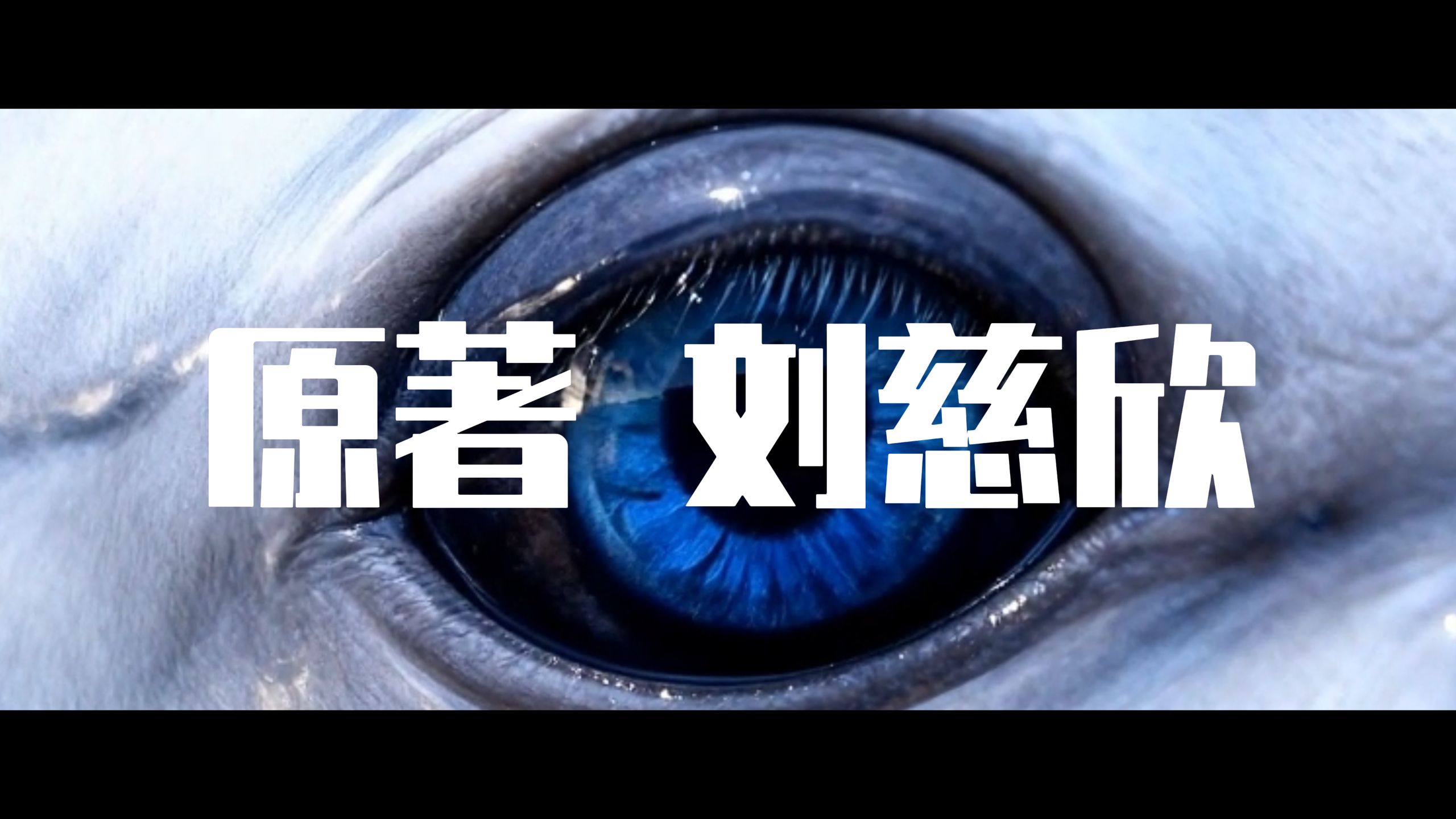 《山》封面：原著刘慈欣