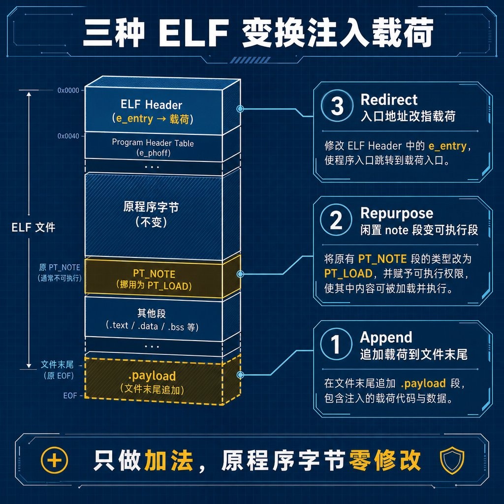 三种 ELF 变换
