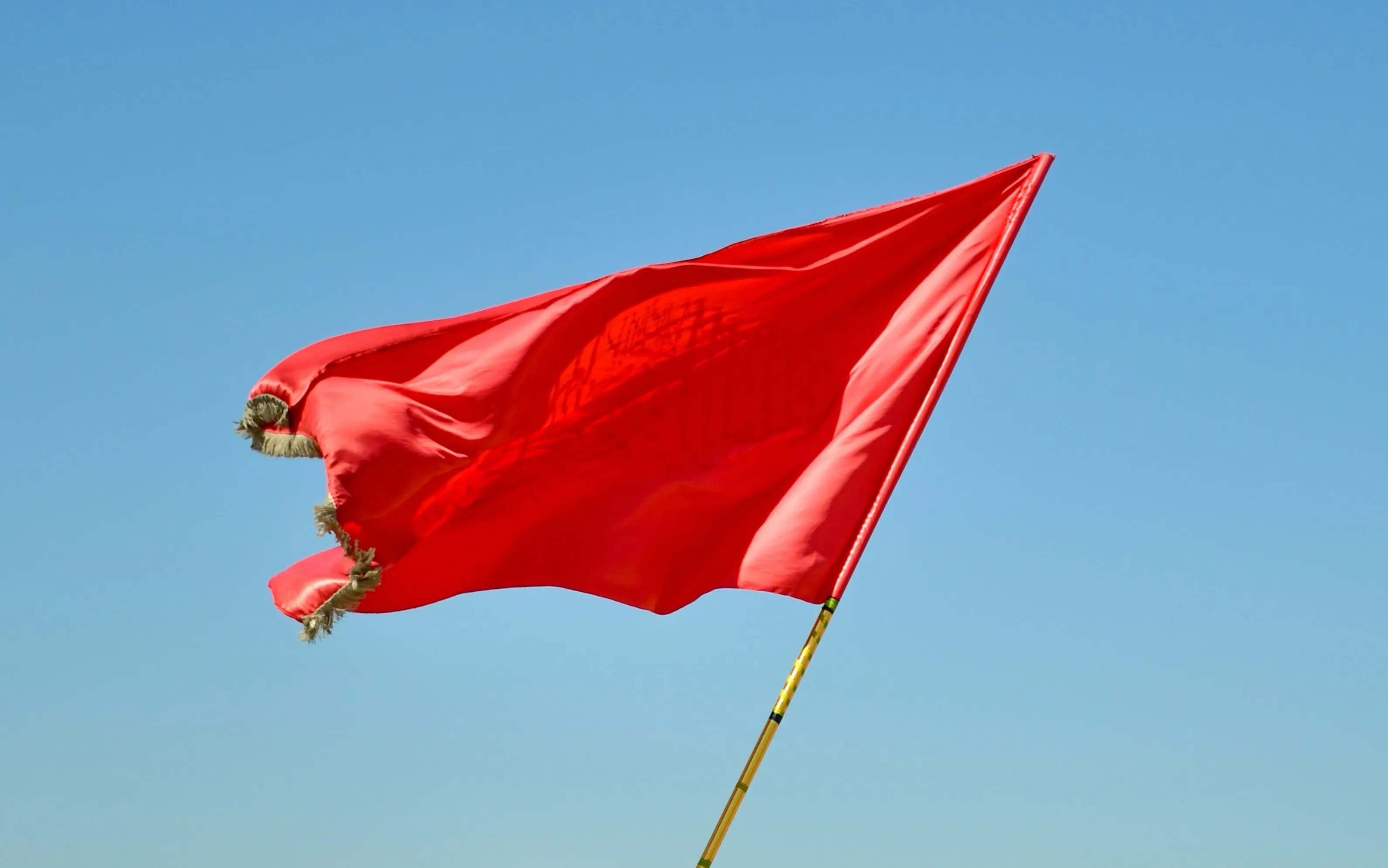 Unsplash 上的一面红旗照片，正对应这次事件里"红旗警告"式的破绽