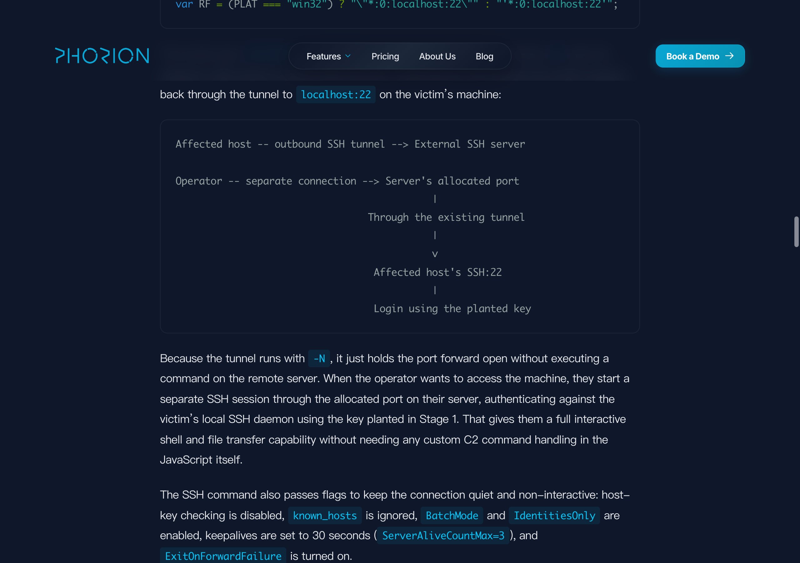 反向 SSH 隧道的工作方式（来源：Phorion）