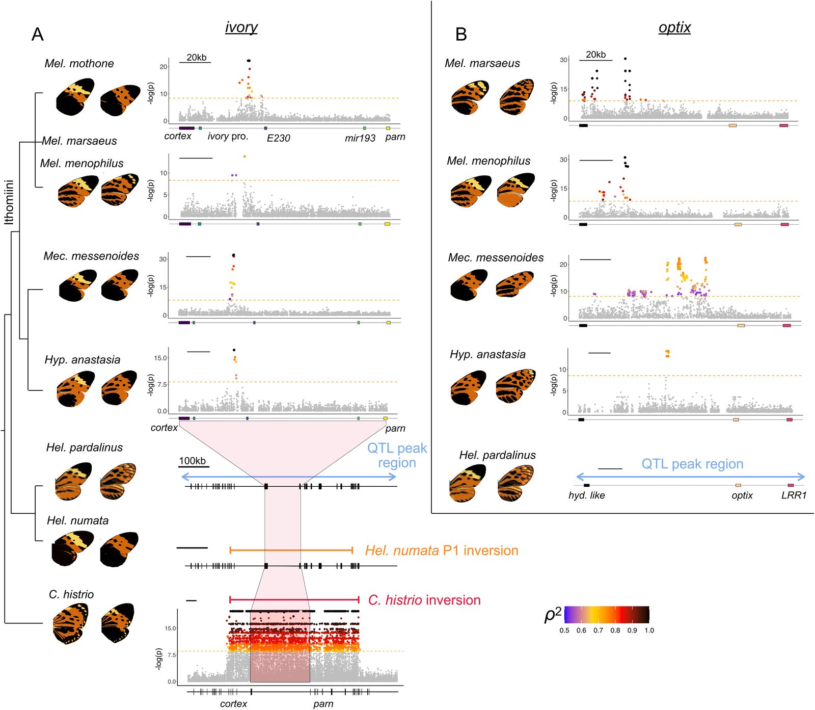 论文 Fig 2：GWAS 和 QTL 定位结果
