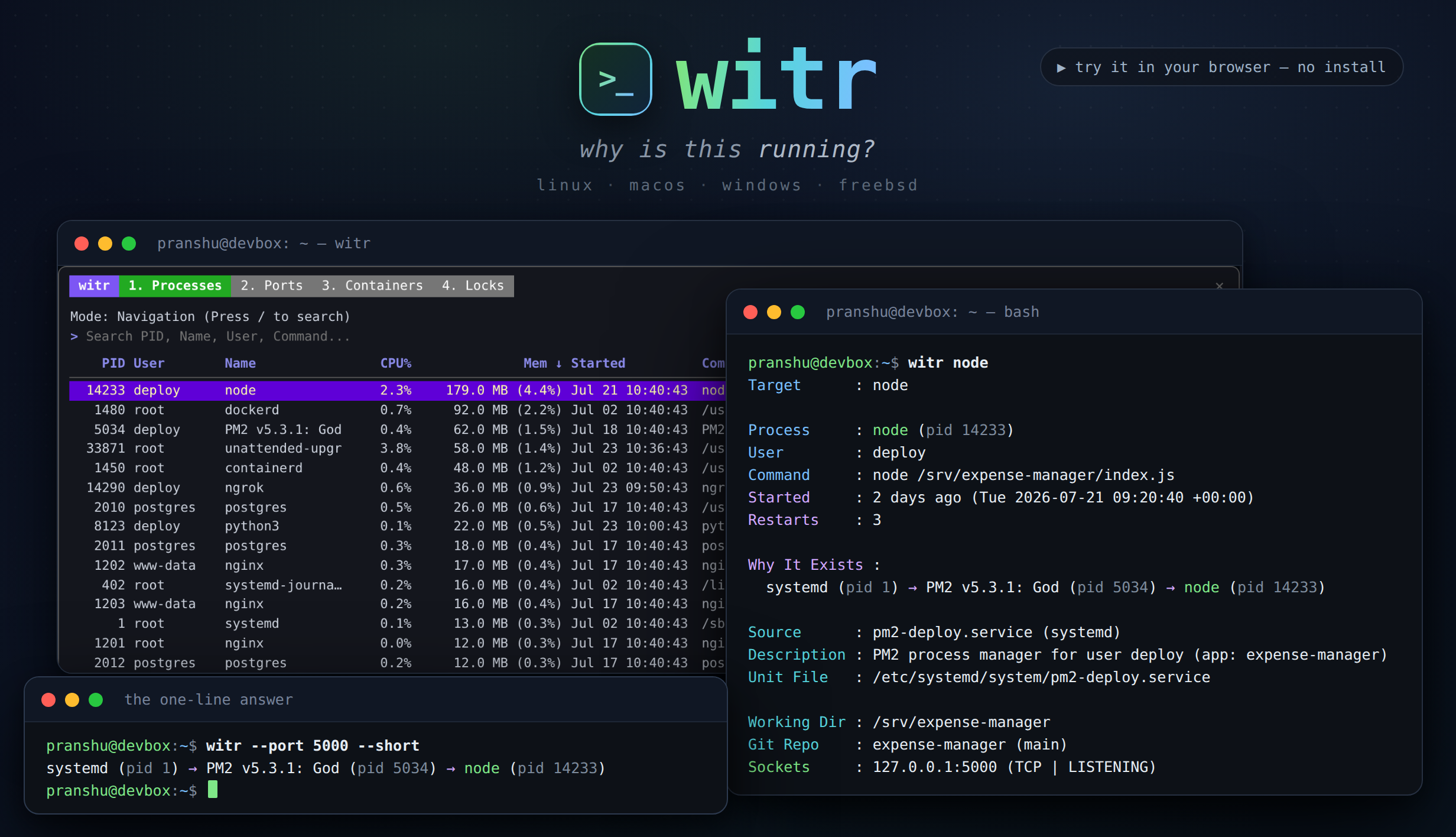 witr 的 TUI 交互界面，左侧进程列表选中 node 进程，右侧显示完整因果链和上下文