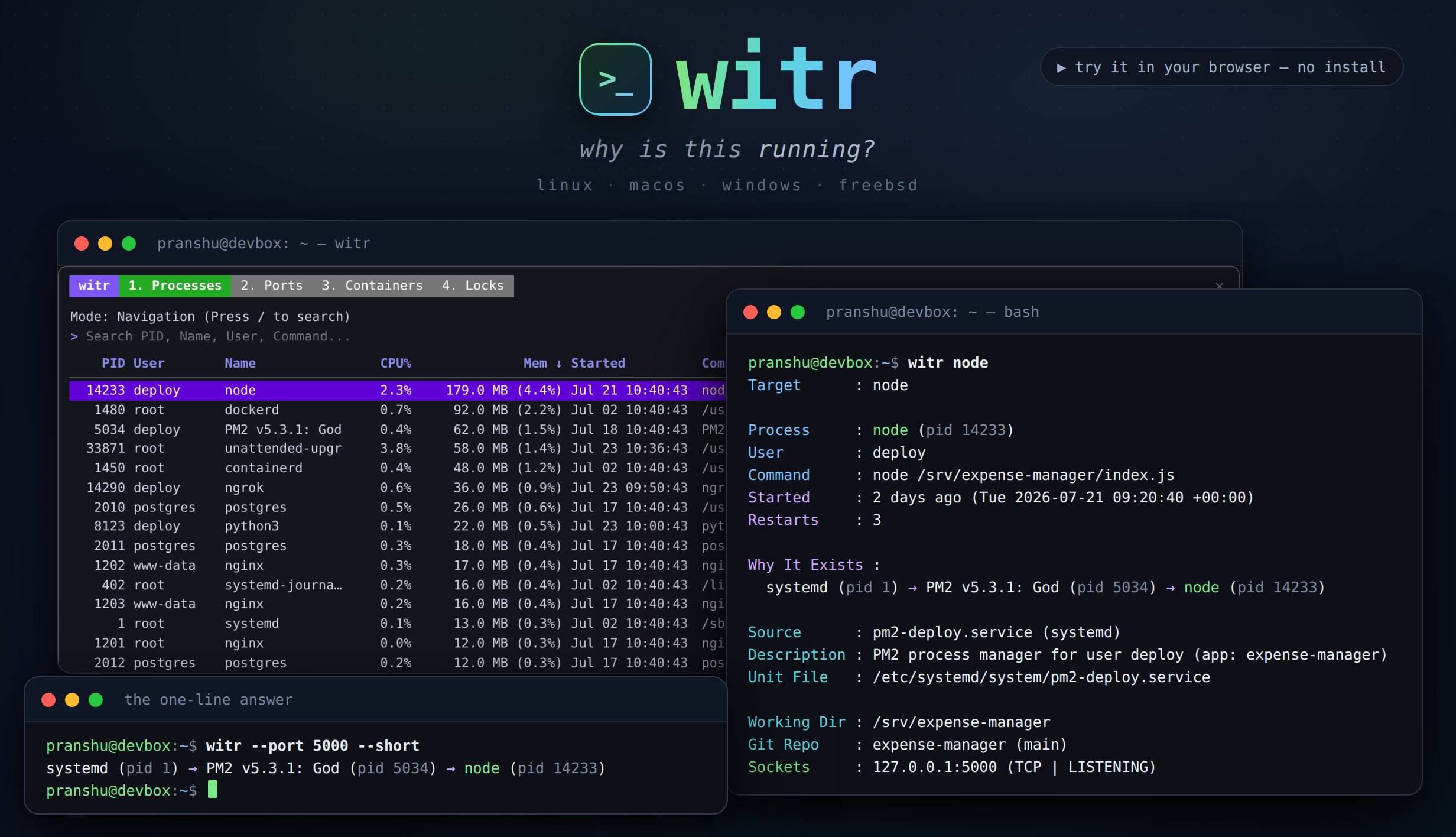 witr 开源进程追踪工具：一条命令还原进程因果链 封面