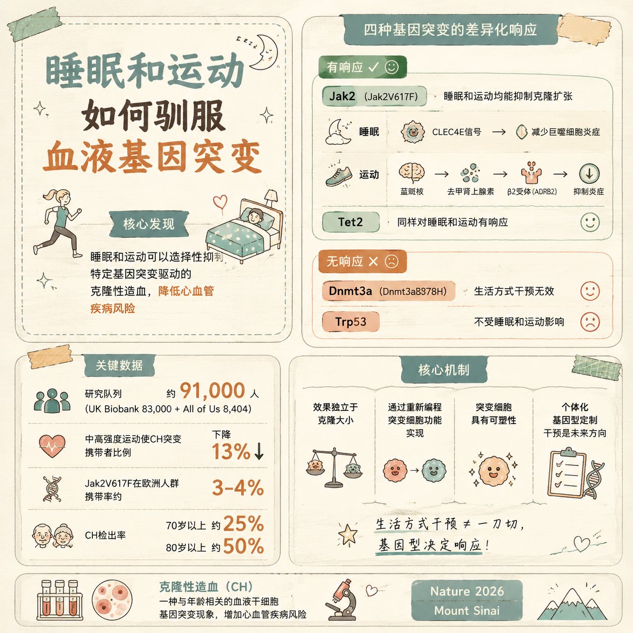 克隆性造血与生活方式干预信息图