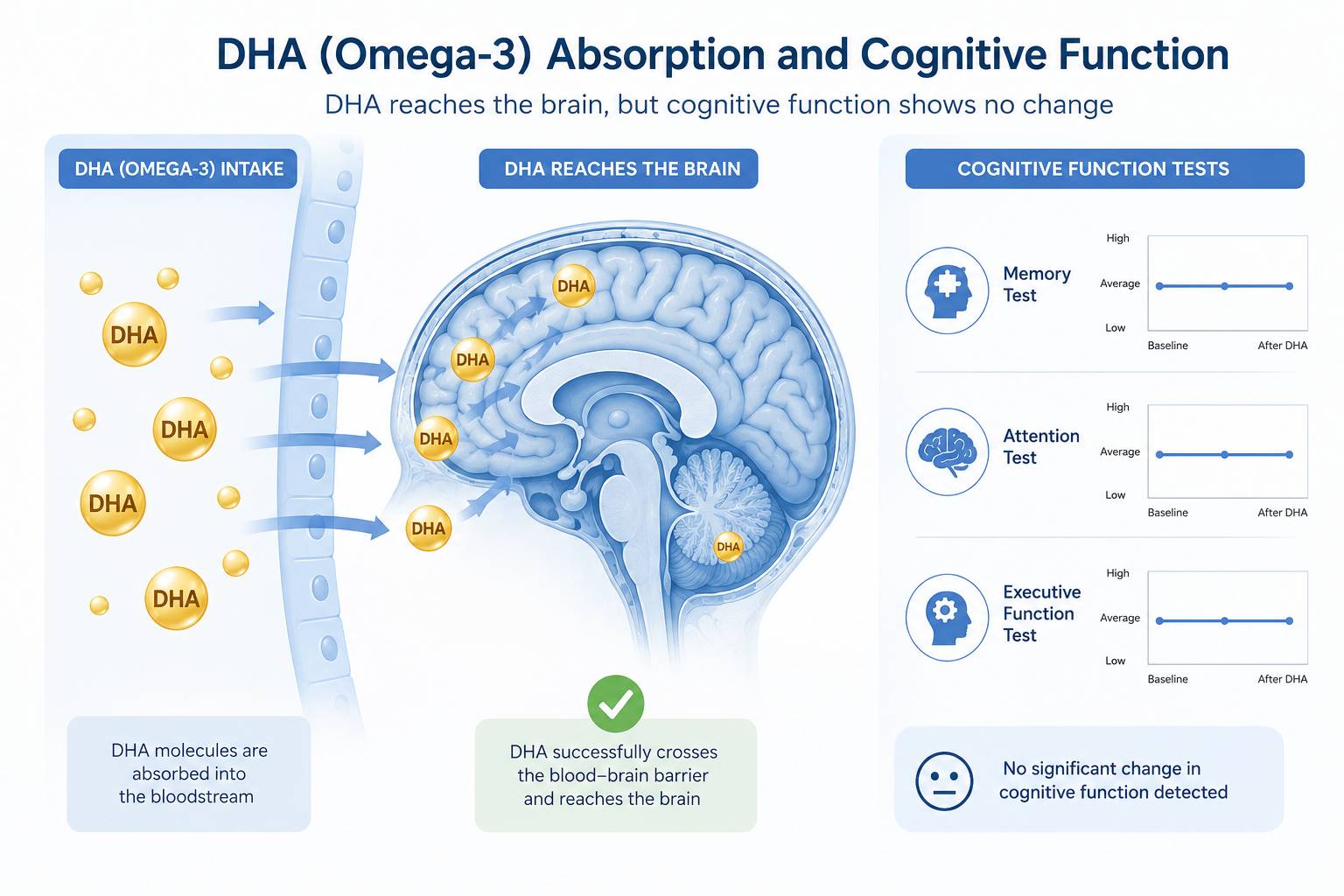 DHA 与大脑认知研究