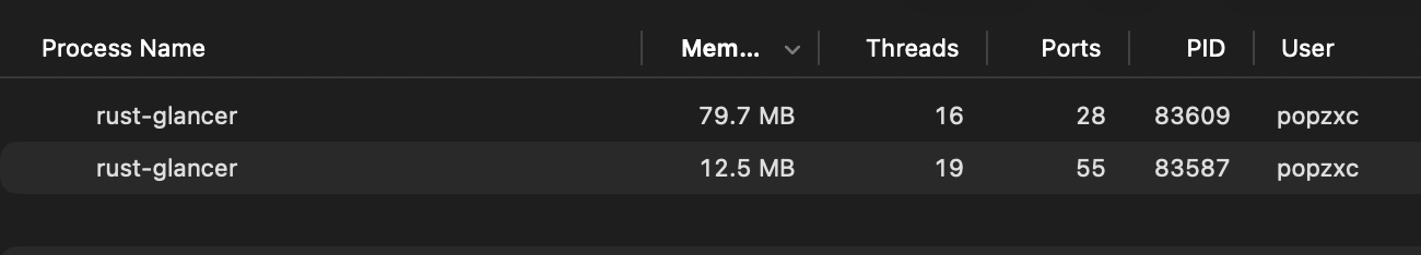 Rust Glancer 官方内存占用截图