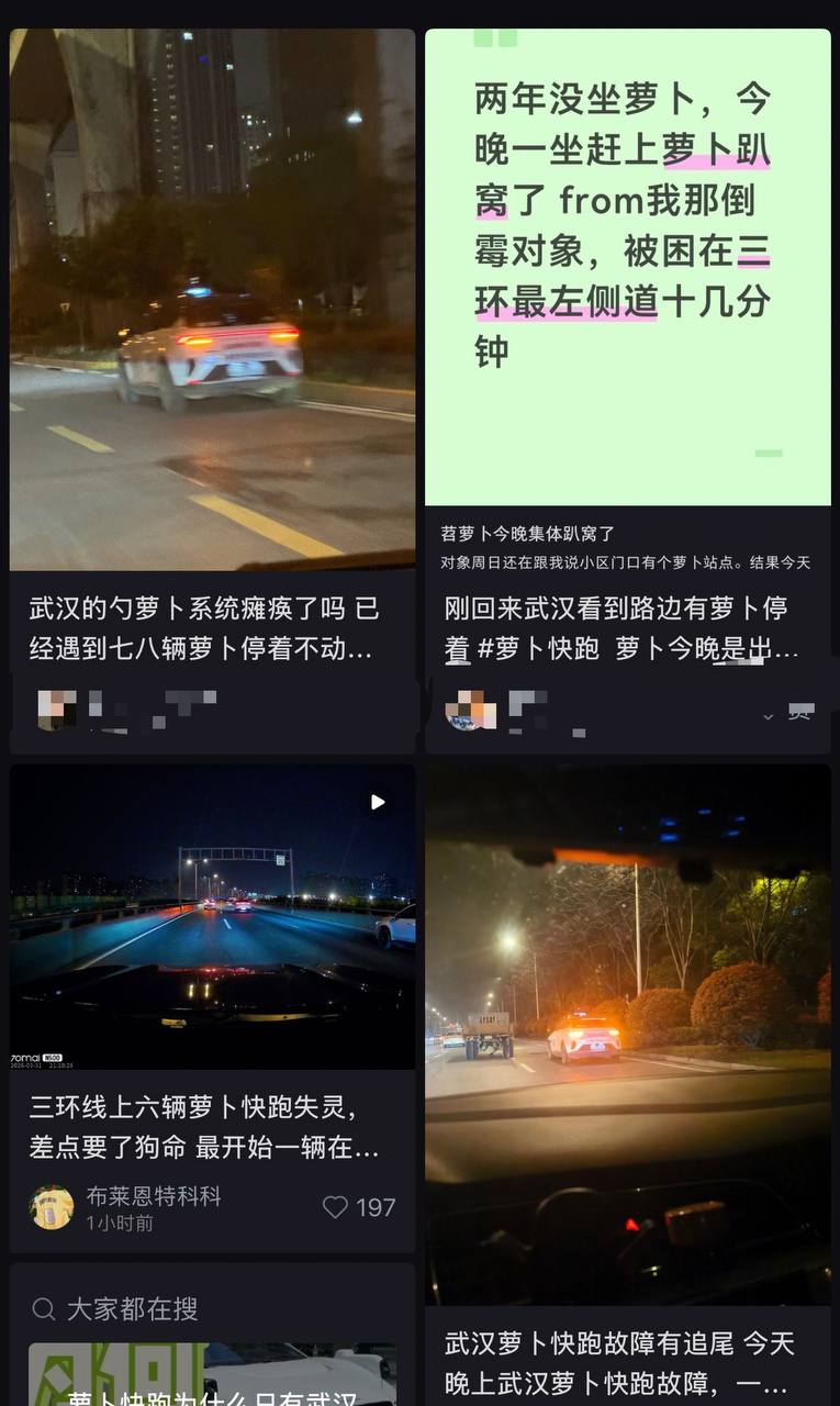 武汉萝卜快跑夜间大面积故障,多名乘客被困高架