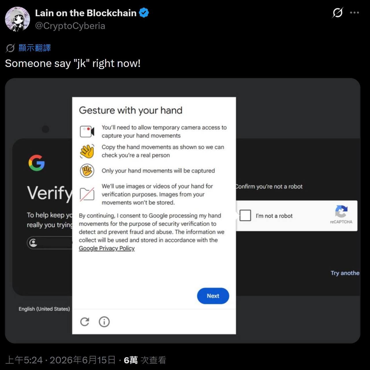 Google reCAPTCHA hand gesture verification